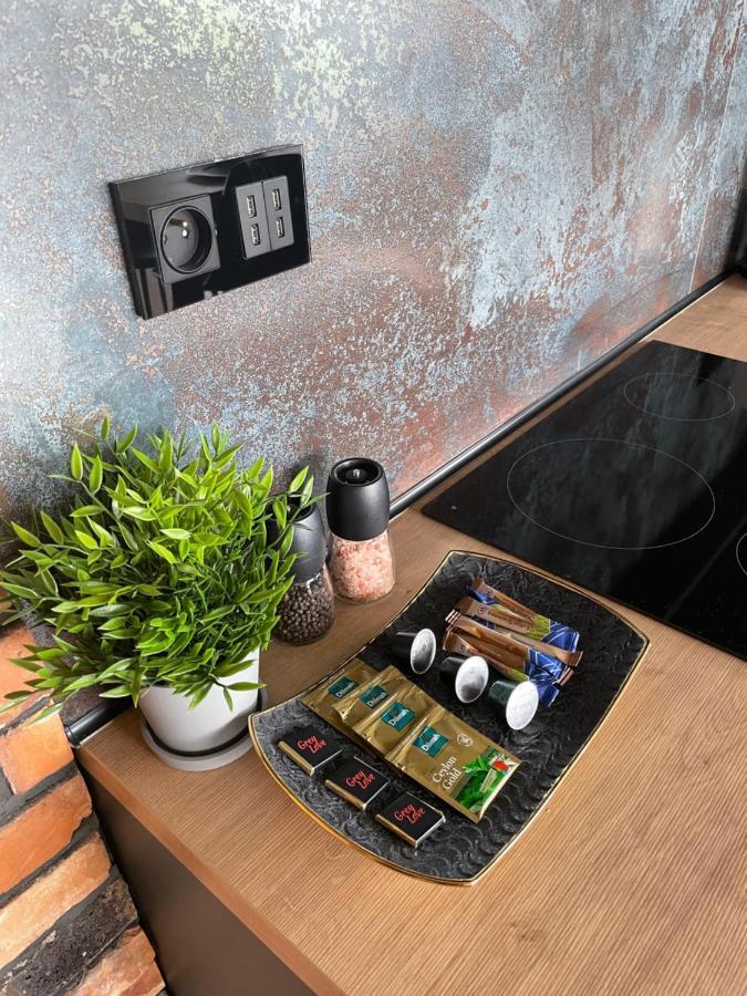 Apartament Grey Love W Czeladzi, Fv, 8Km Do Katowic Eksteriør bilde